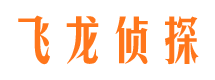 田家庵侦探